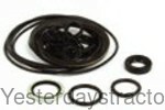 Ford Dexta O-Ring and Seal Kit S.04725